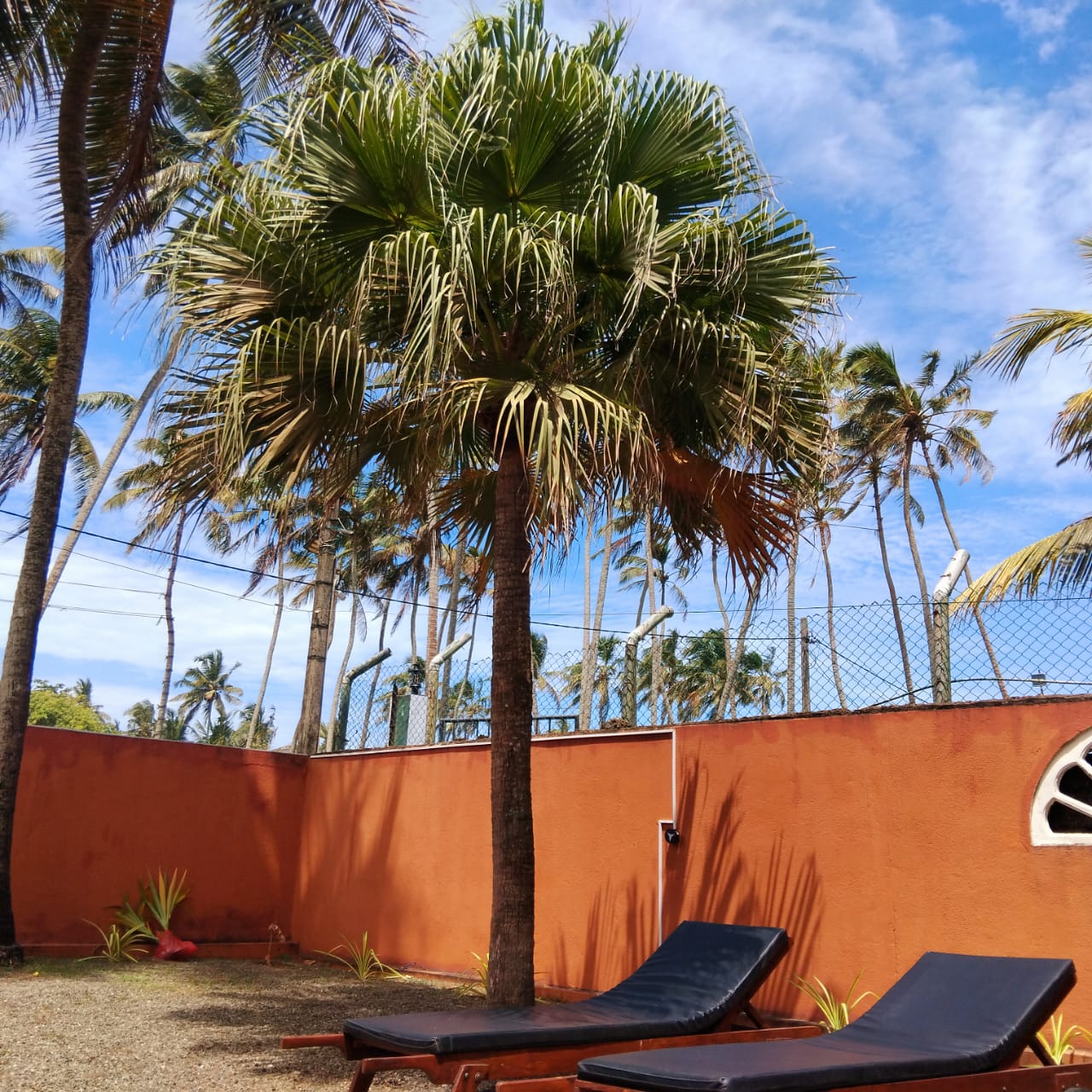 Relax by the beach under the shade